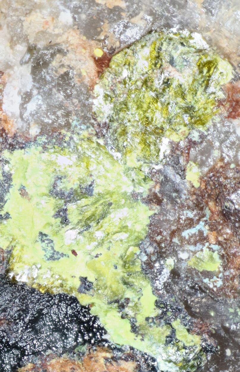 Volborthite & Carnotite