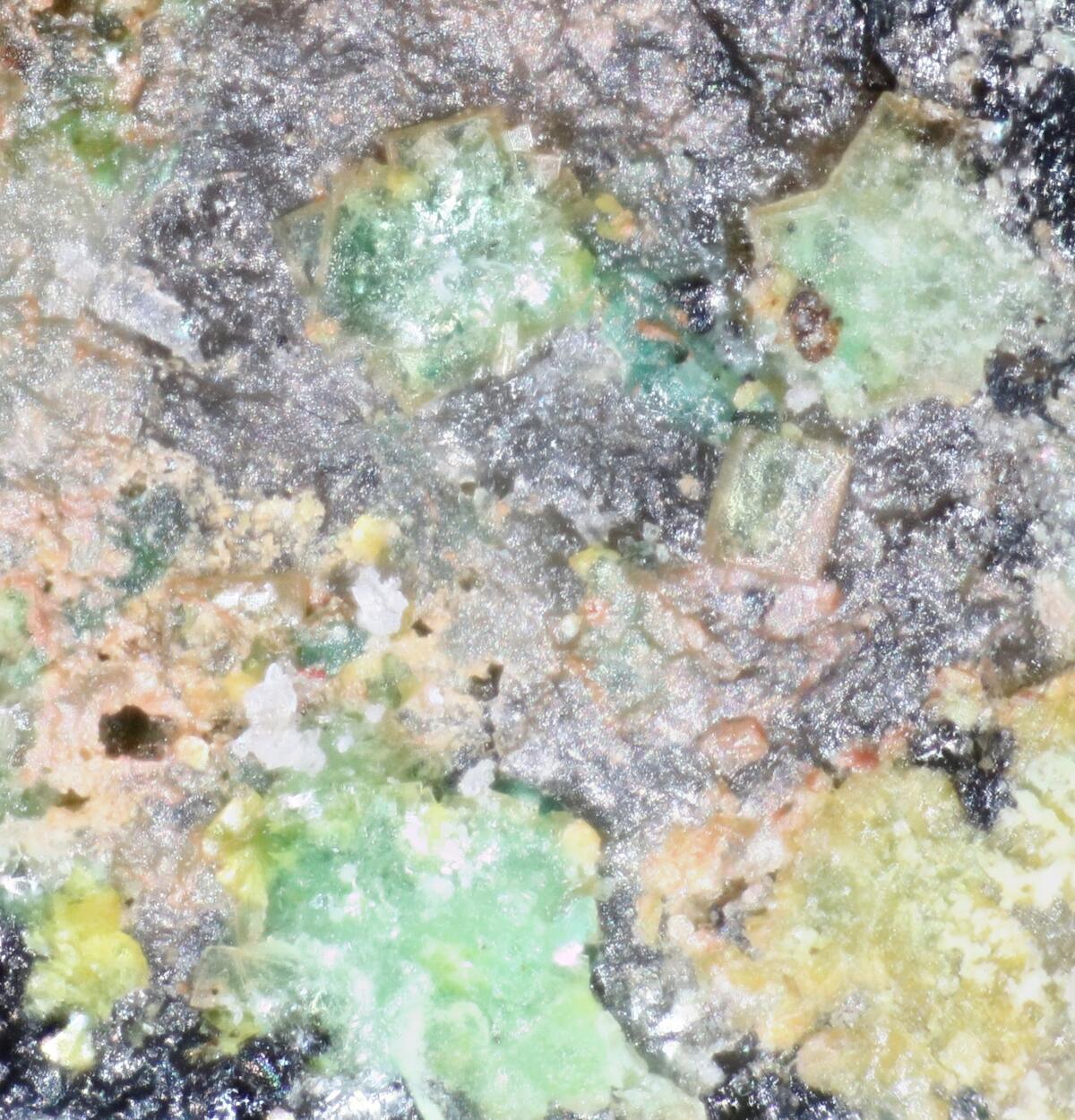 Zeunerite & Tyuyamunite