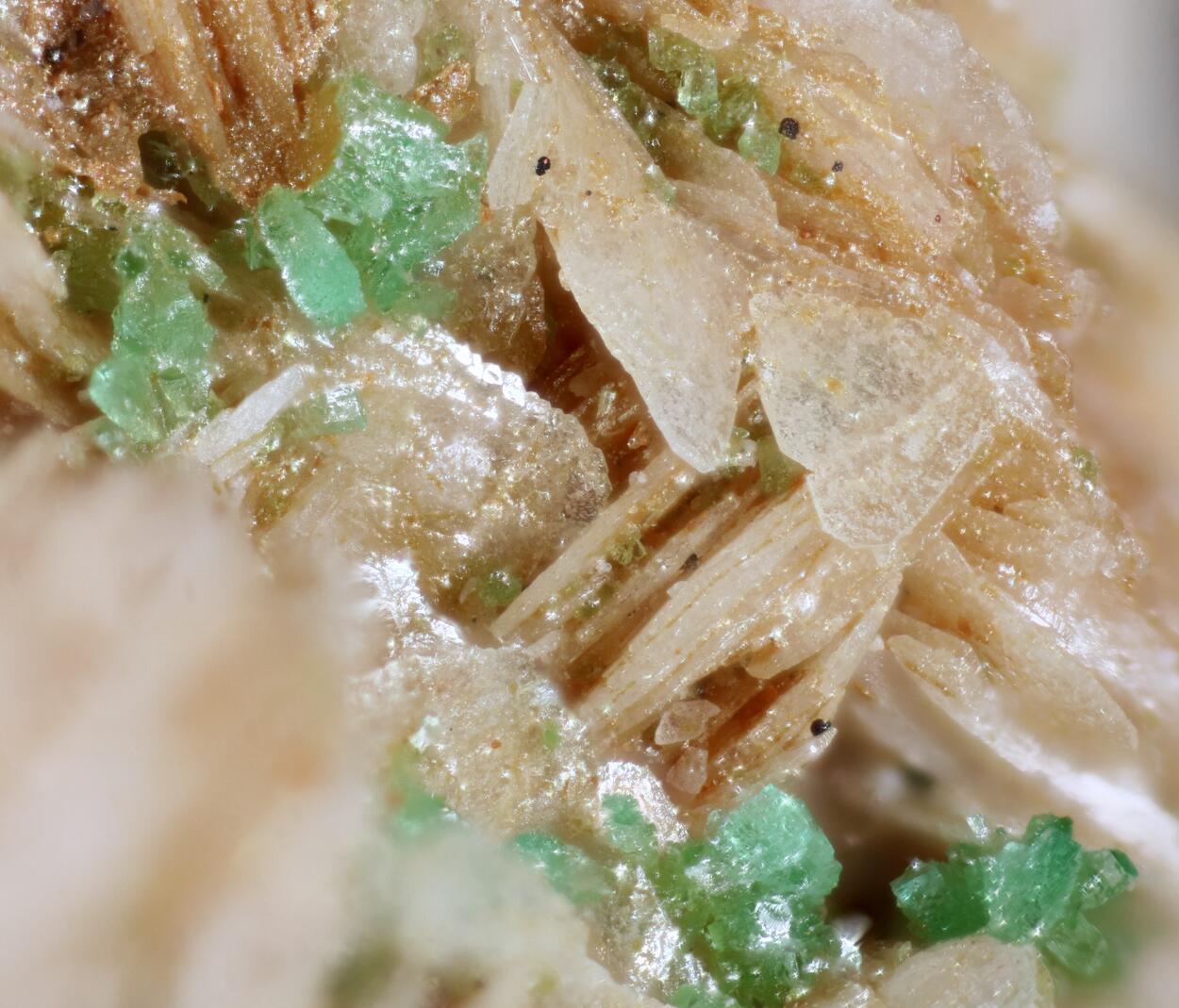 Adamite