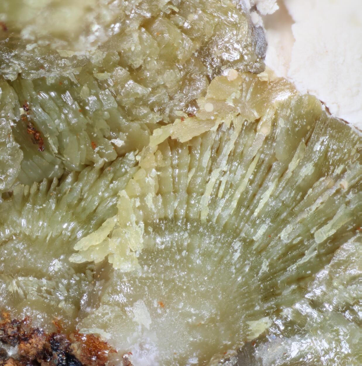 Calcioferrite & Tinticite