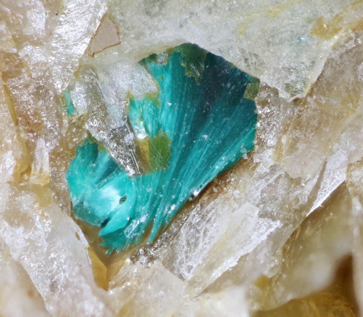 Tangdanite