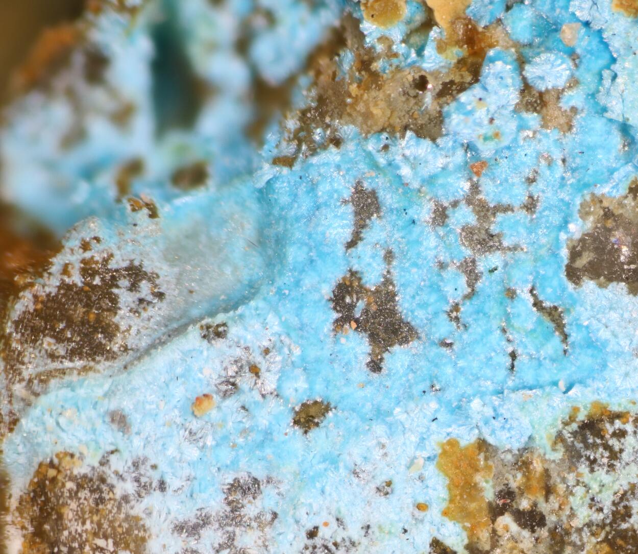 Cyanotrichite & Ajoite