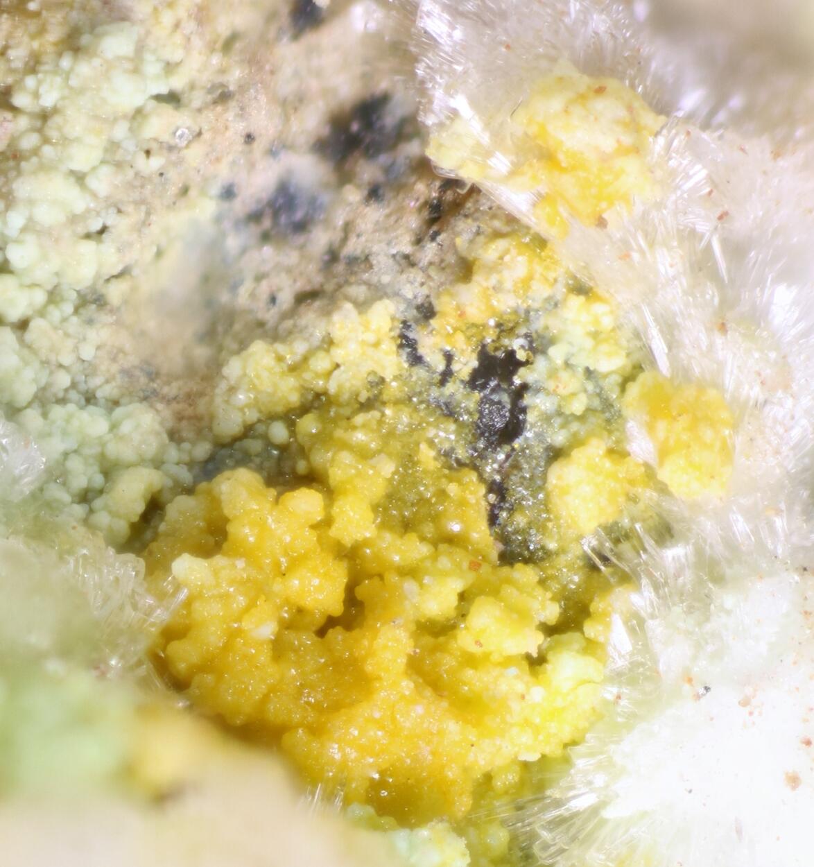 Leesite & Cuprosklodowskite