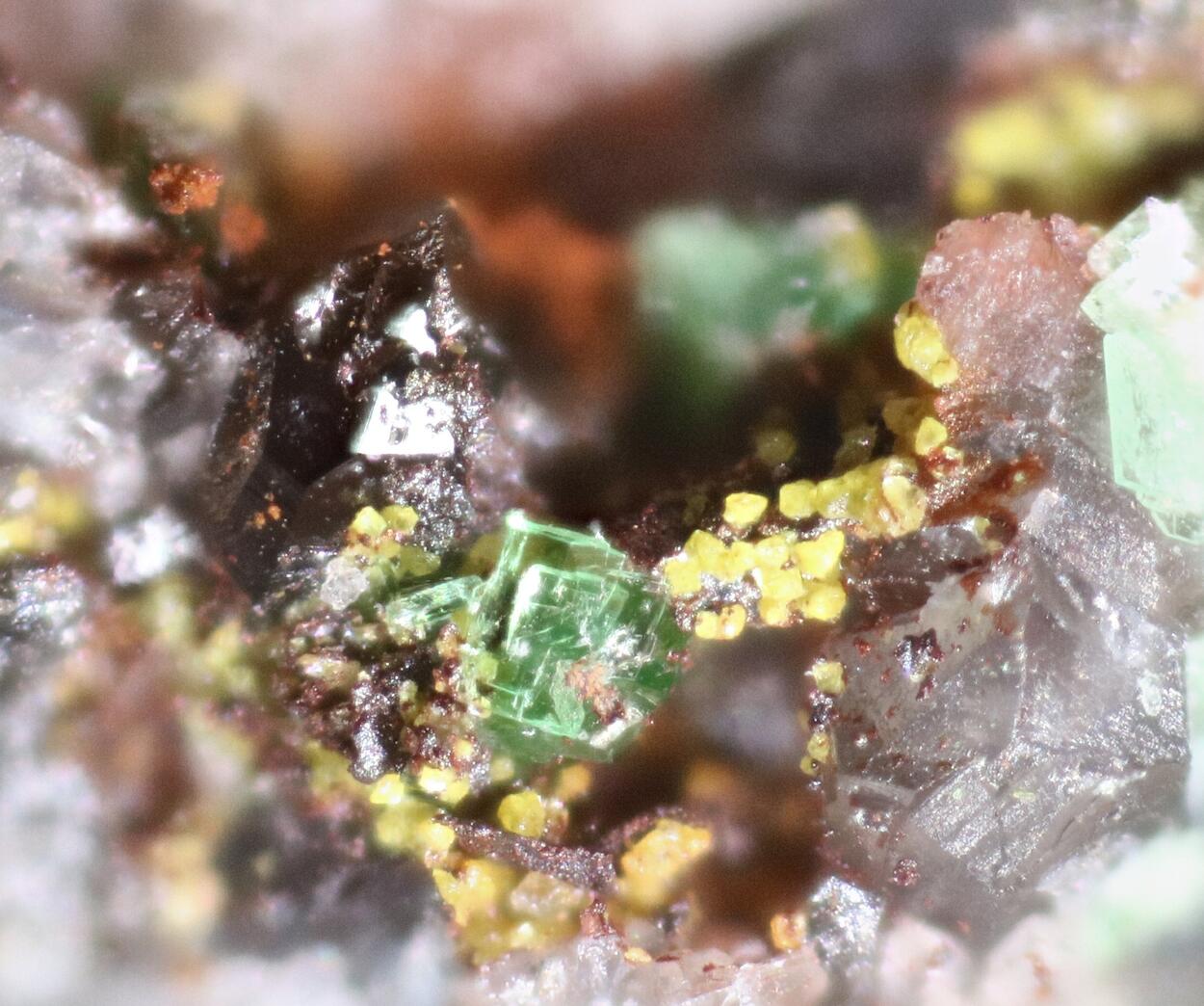 Zeunerite & Tyuyamunite