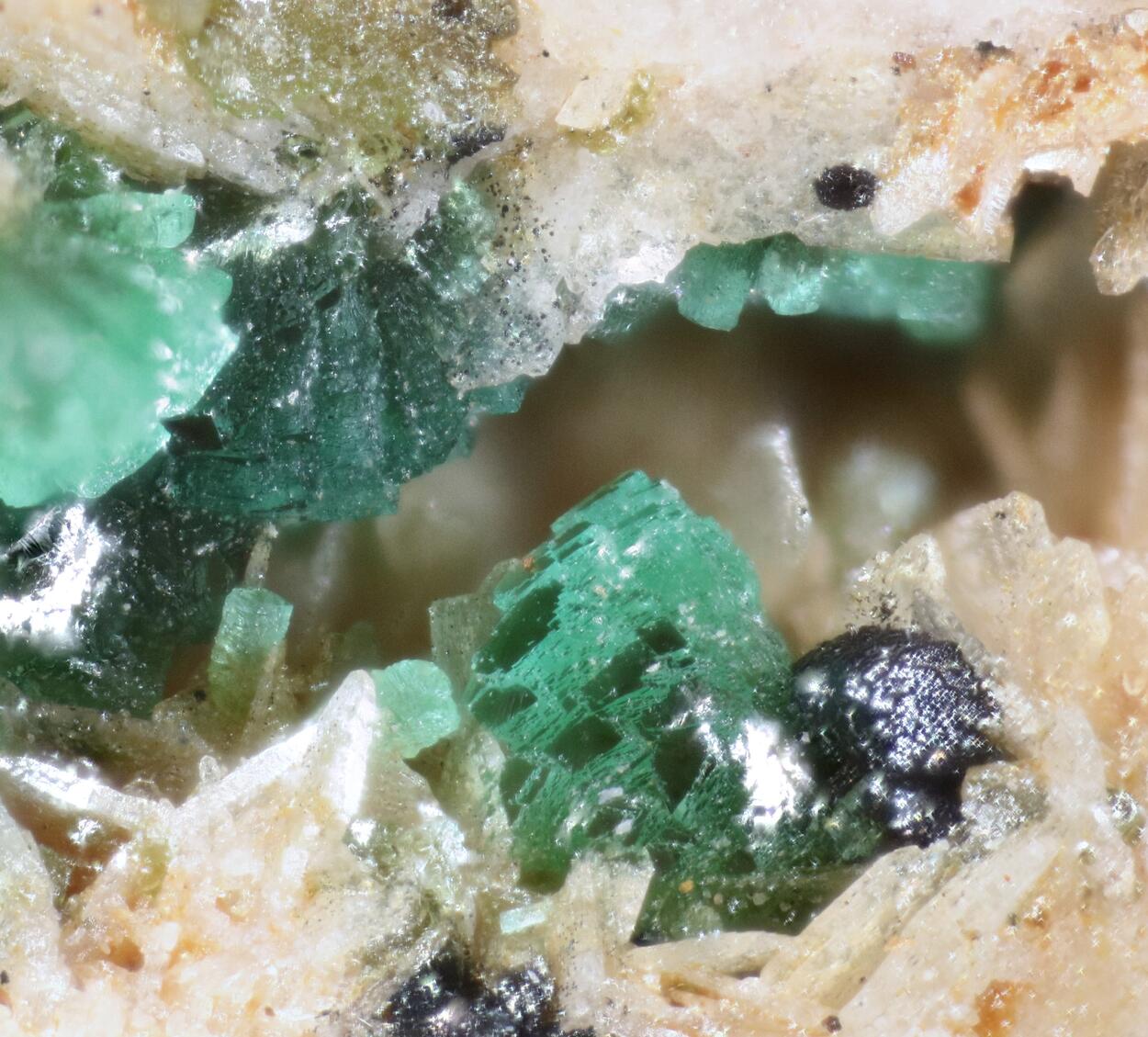 Adamite