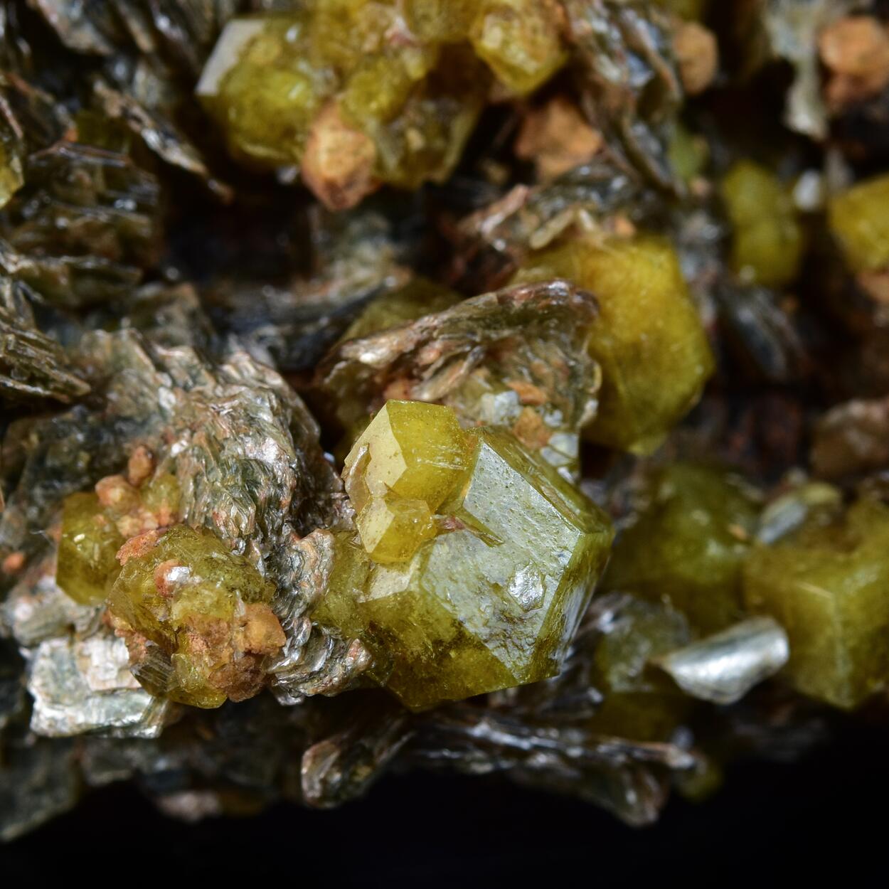 Garnet Var Ugrandite