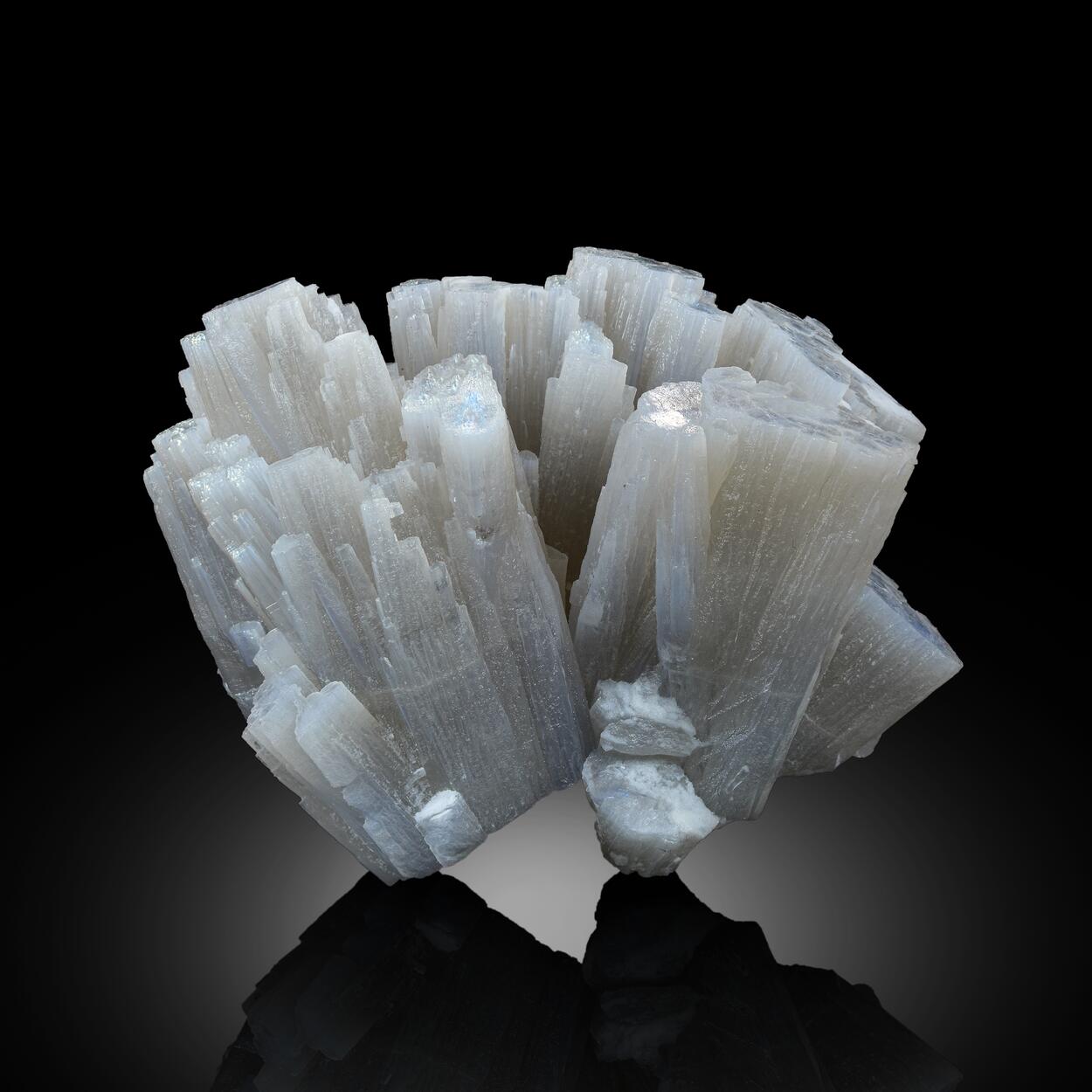 Muscovite