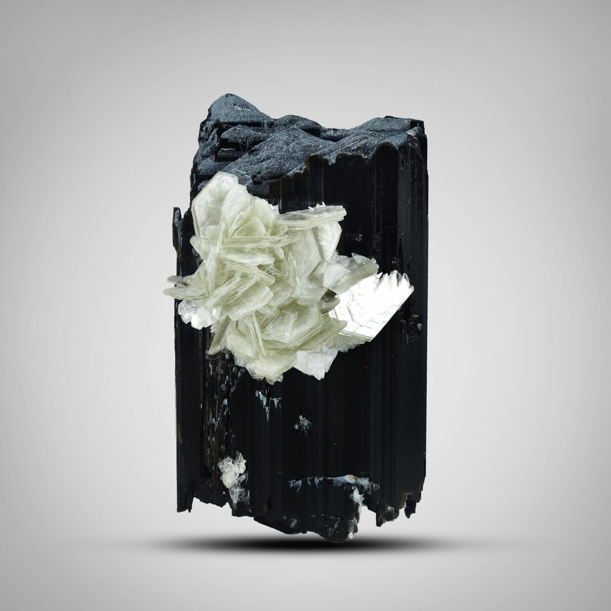 Schorl With Muscovite