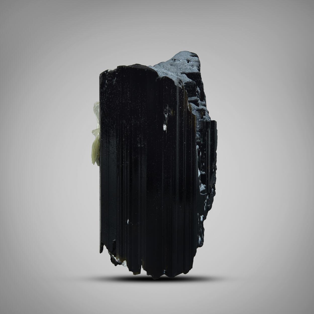 Schorl With Muscovite