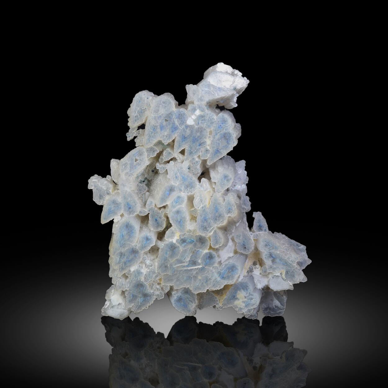 Muscovite