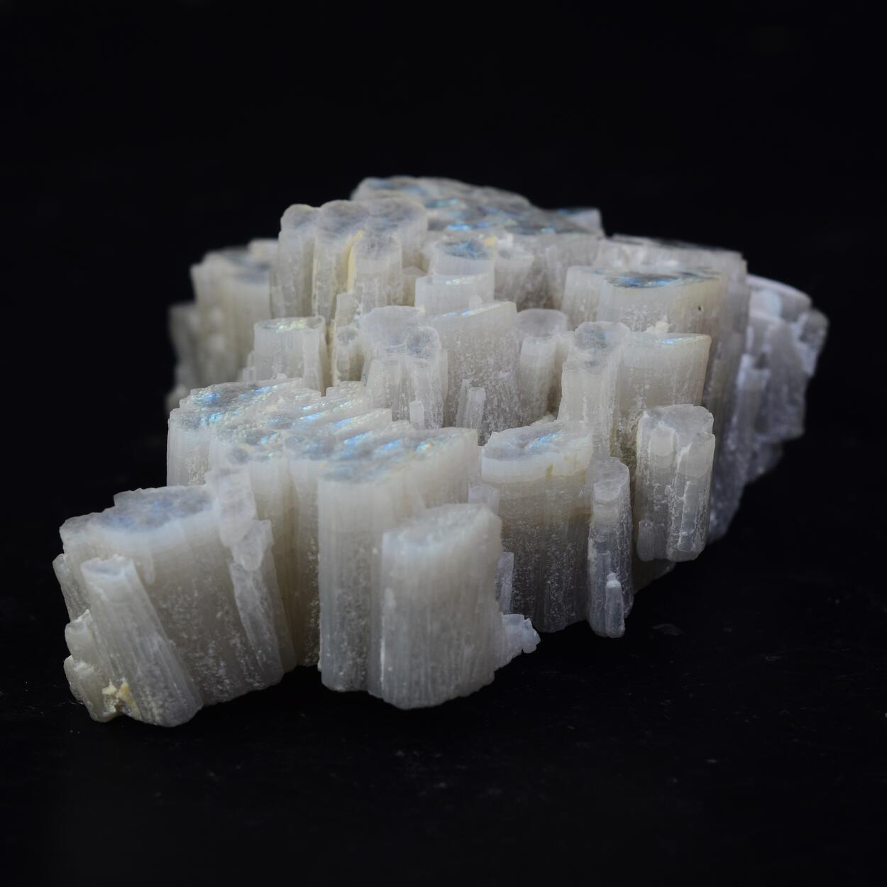 Muscovite
