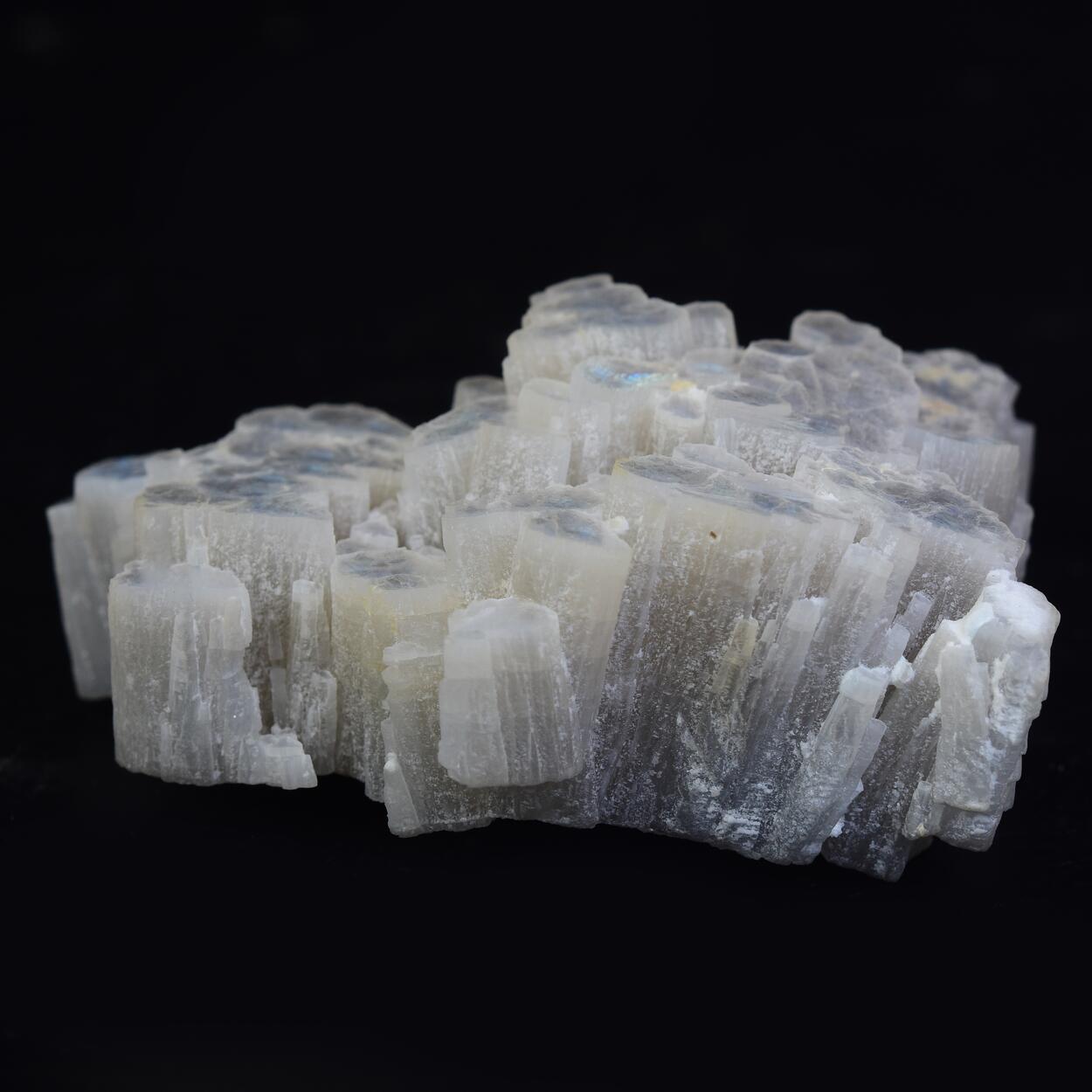 Muscovite