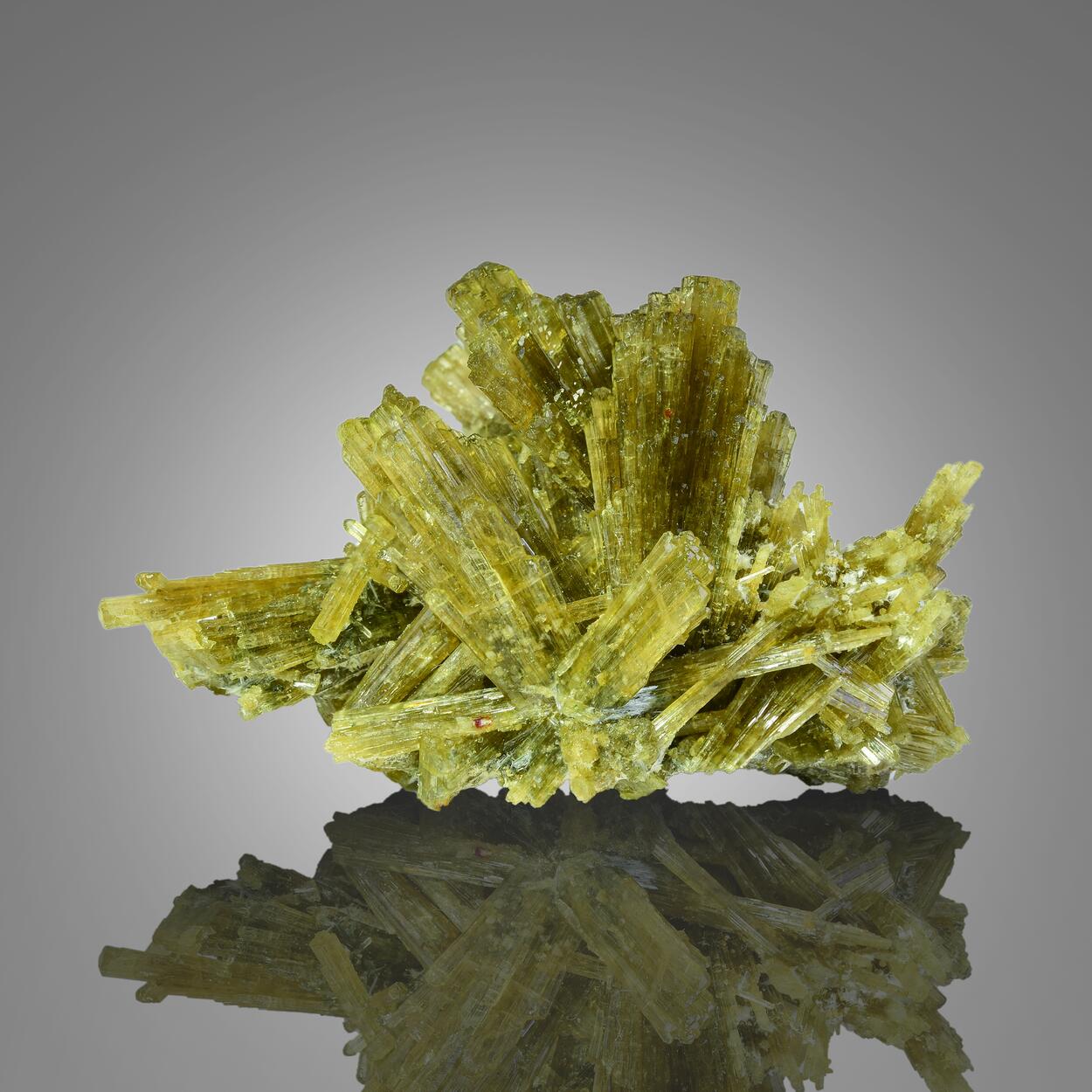 Epidote