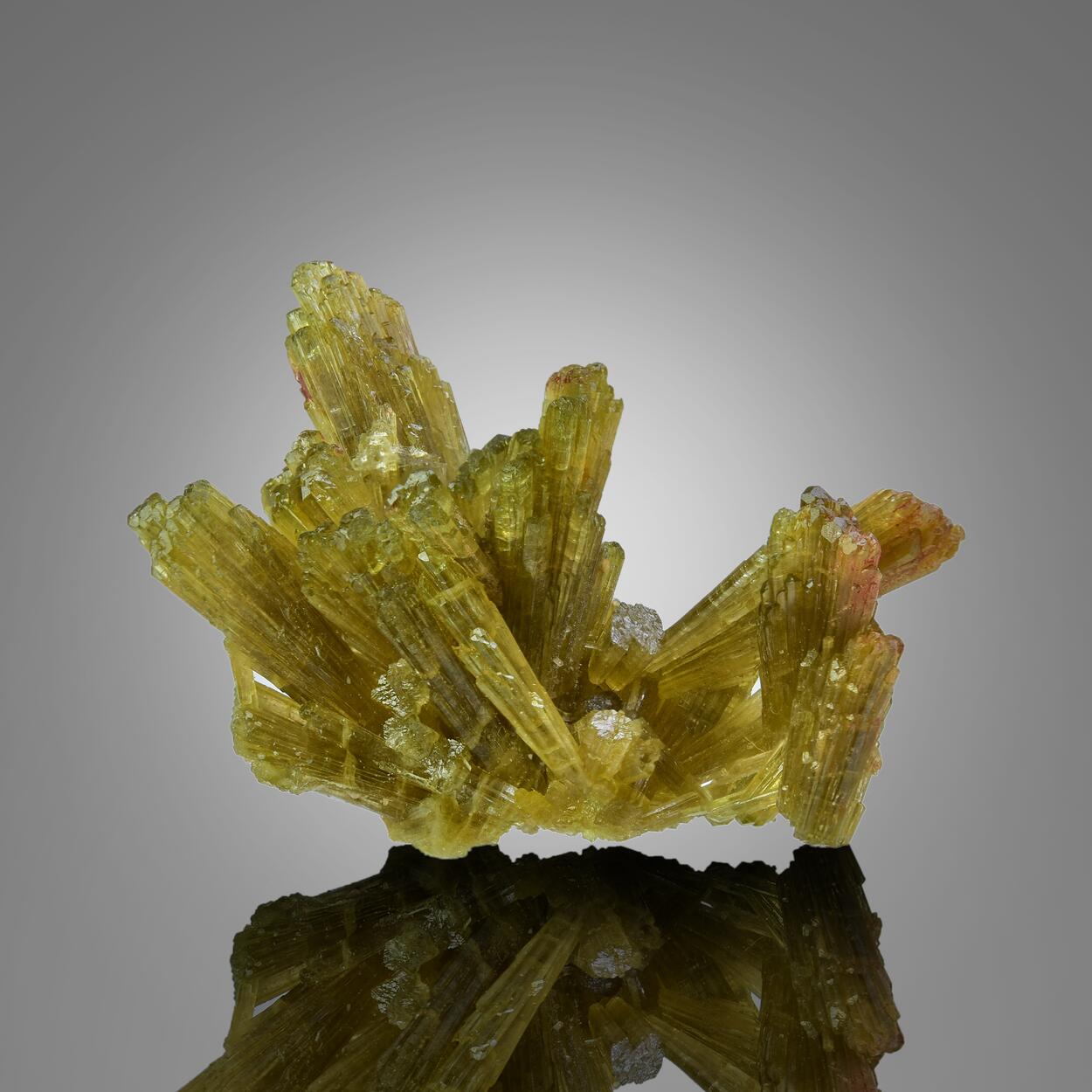 Epidote