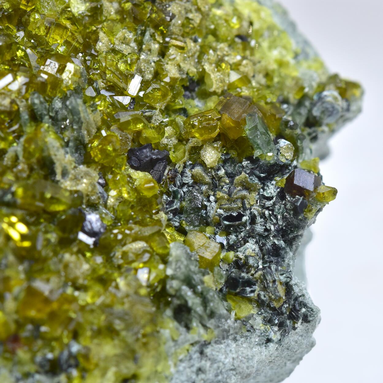 Vesuvianite With Andradite & Diopside