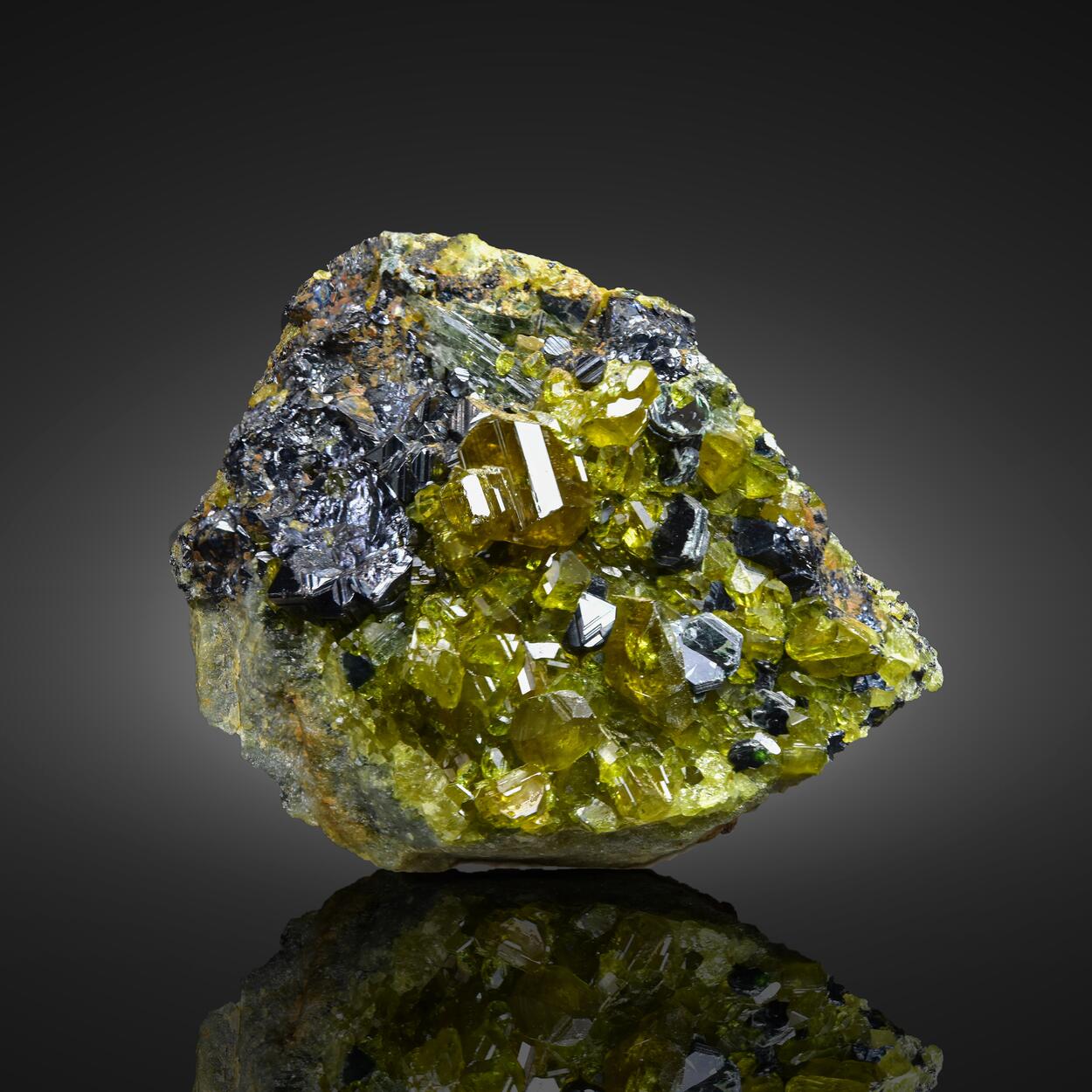 Vesuvianite With Magnetite & Clinochlore