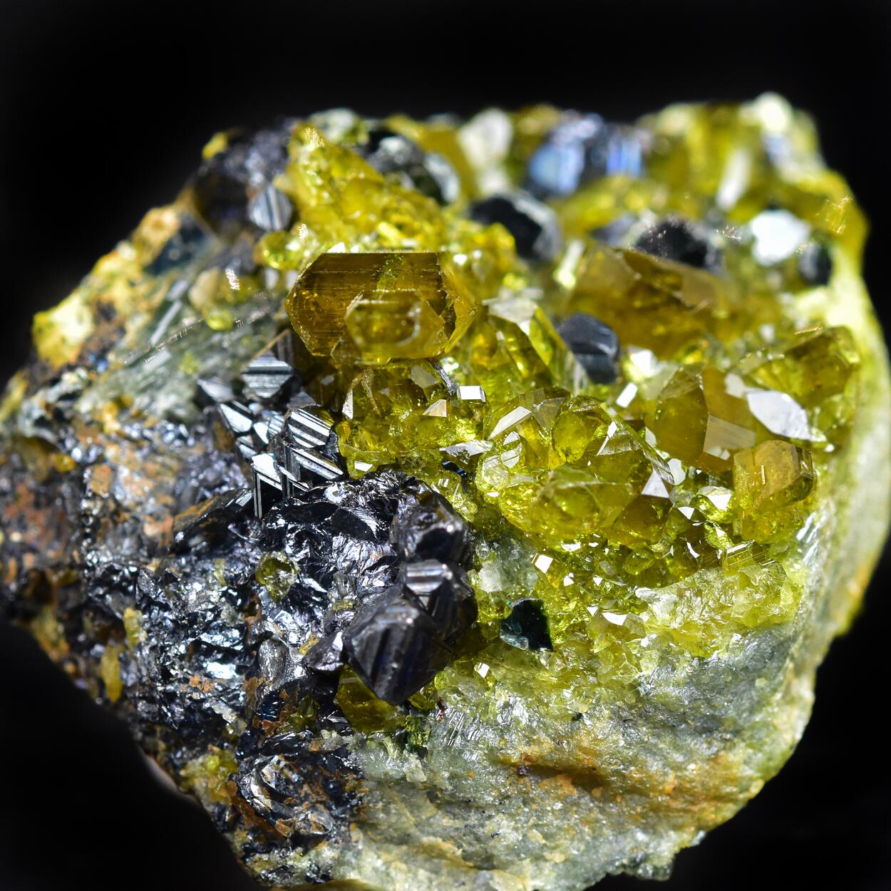Vesuvianite With Magnetite & Clinochlore