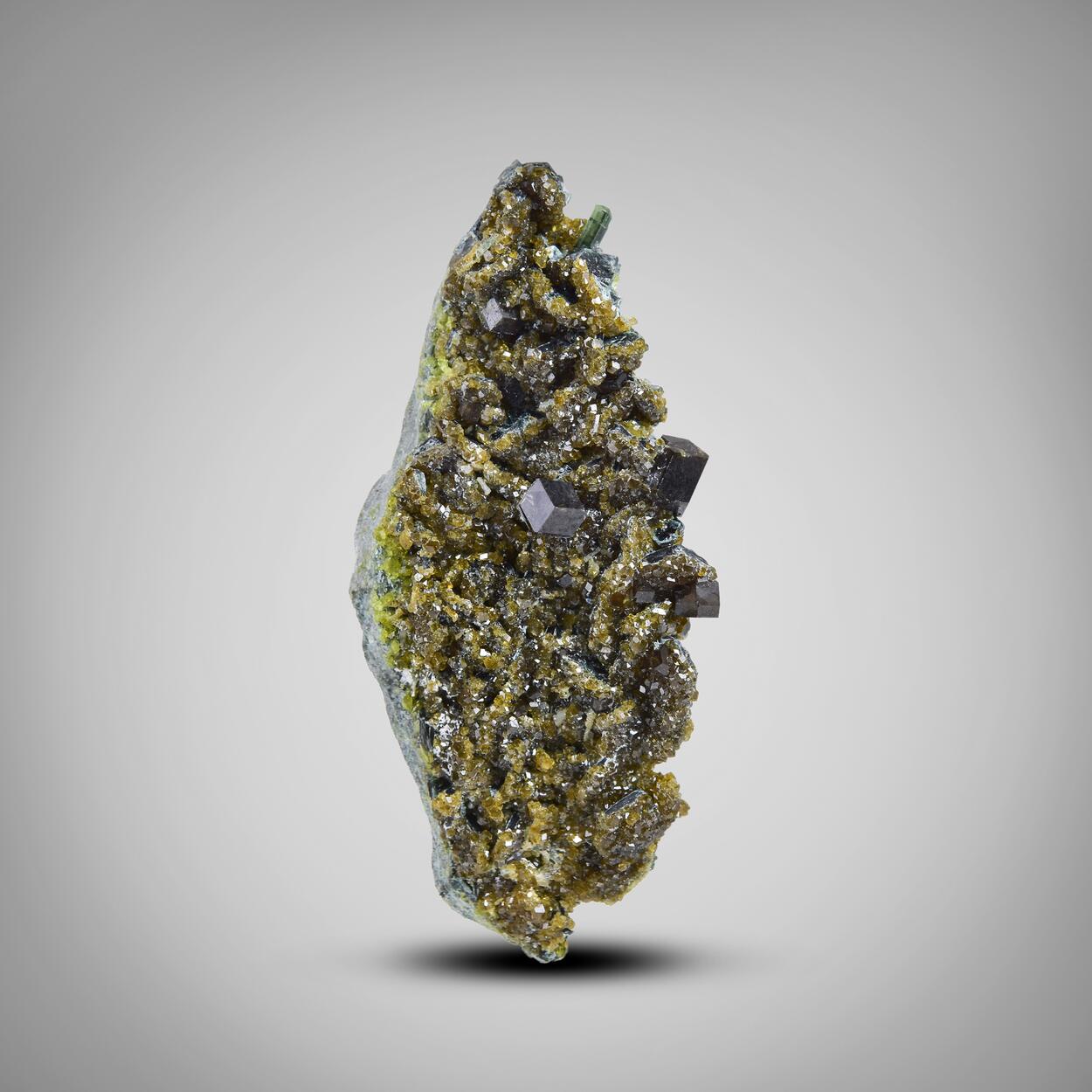 Andradite With Diopside & Clinochlore