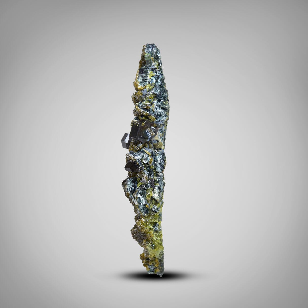 Andradite With Diopside & Clinochlore