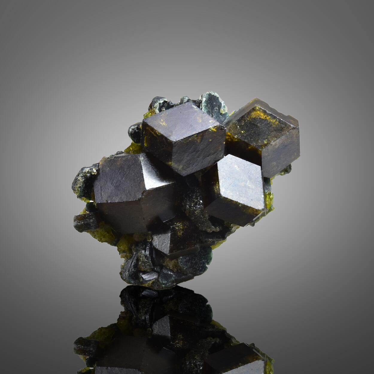 Garnet Var Andradite With Clinochlore