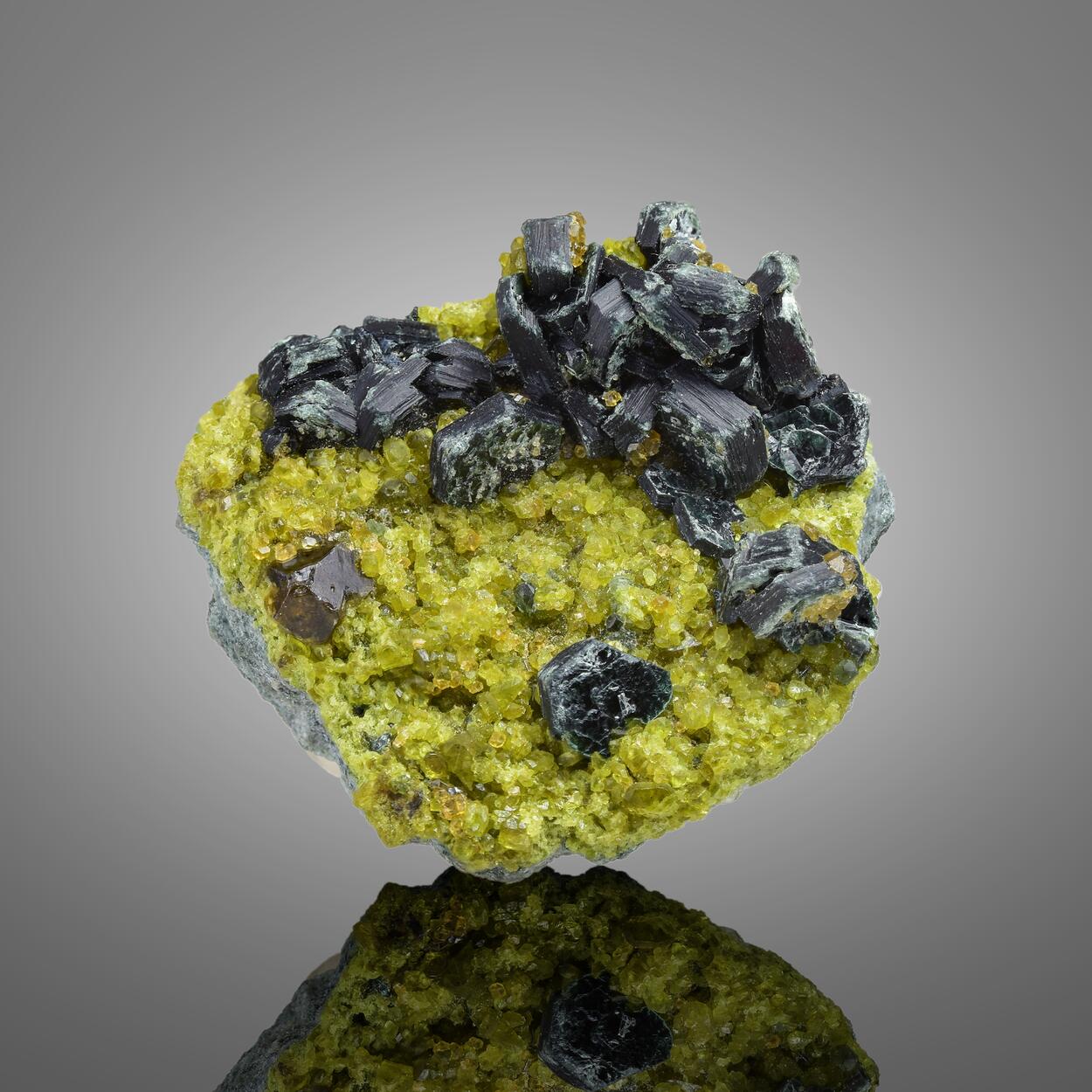 Garnet Var Andradite With Vesuvianite & Clinochlore