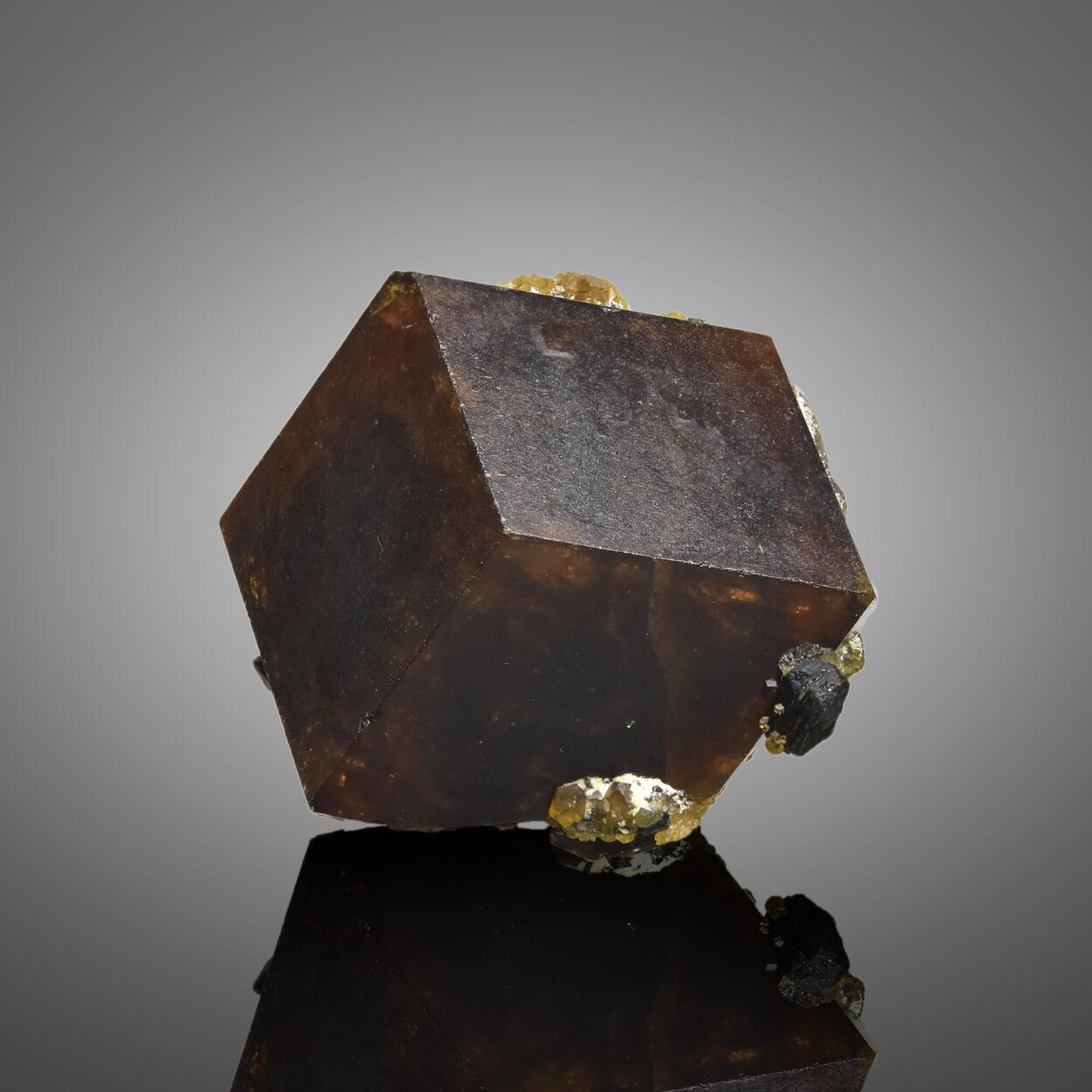 Garnet Var Andradite