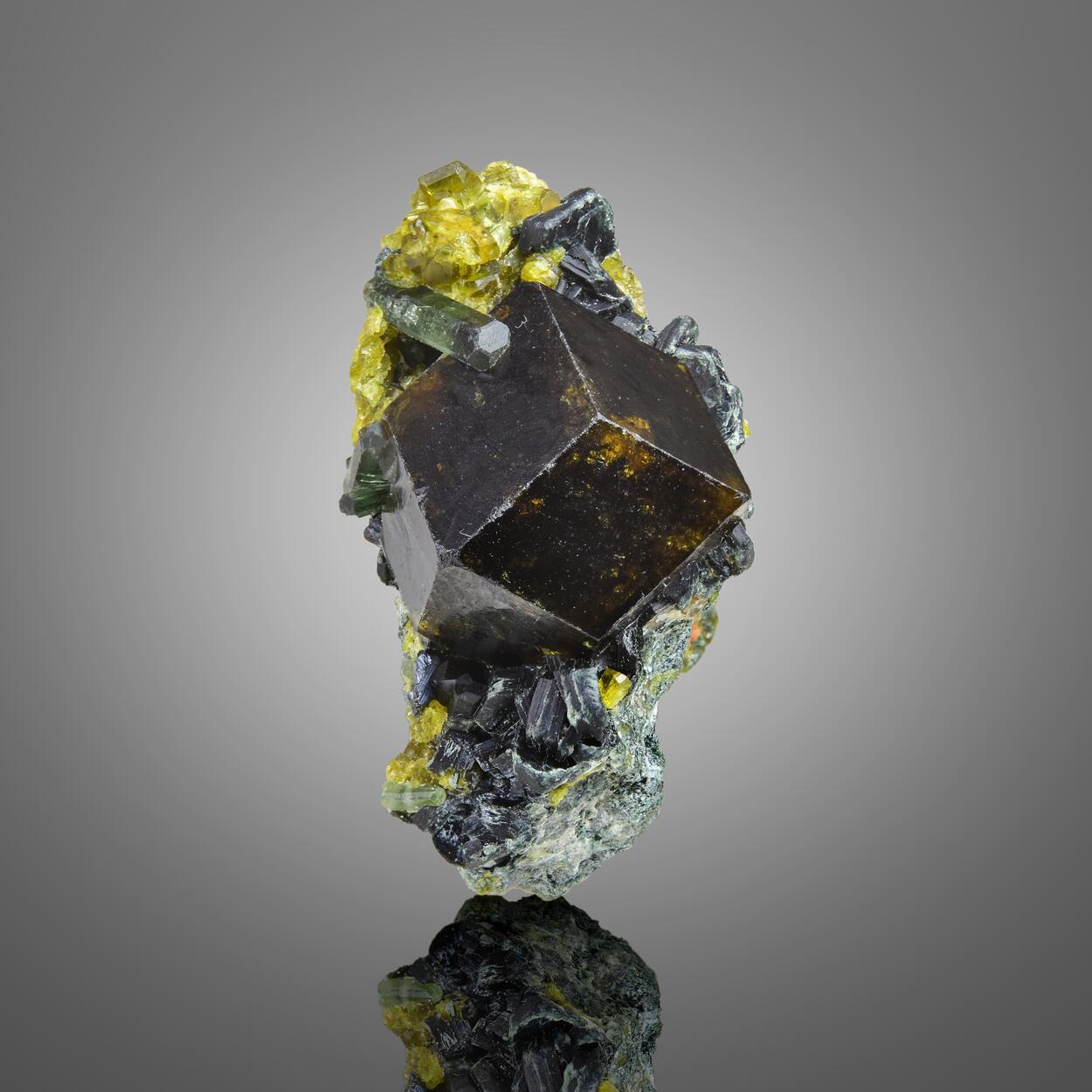 Garnet Var Andradite With Clinochlore & Diopside