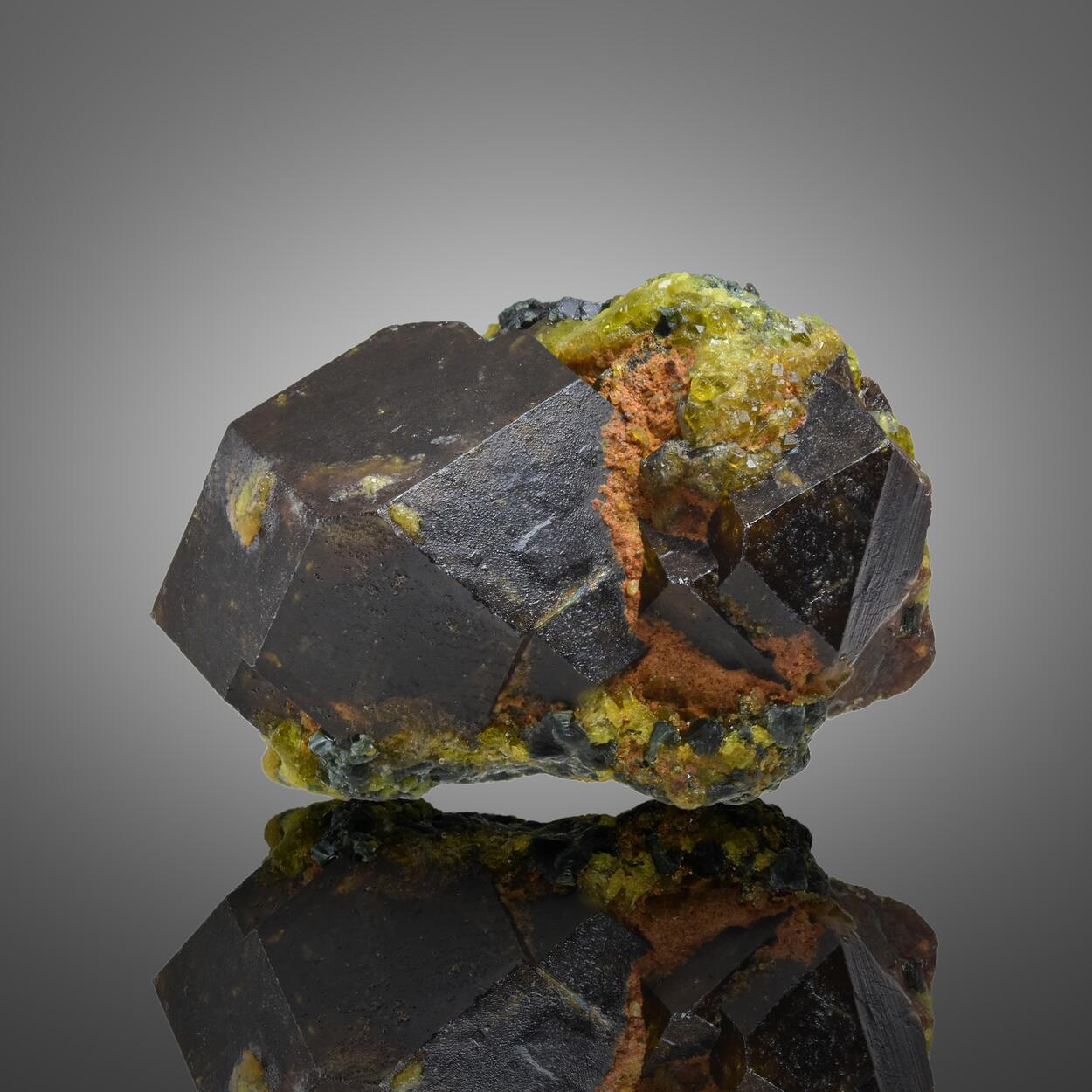 Garnet Var Andradite With Clinochlore