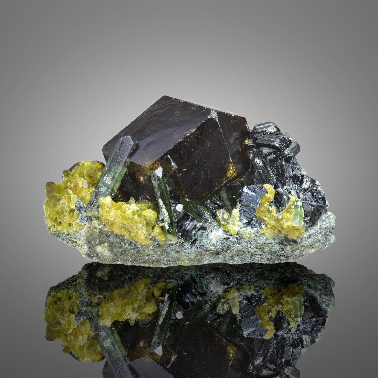 Garnet Var Andradite With Clinochlore & Diopside