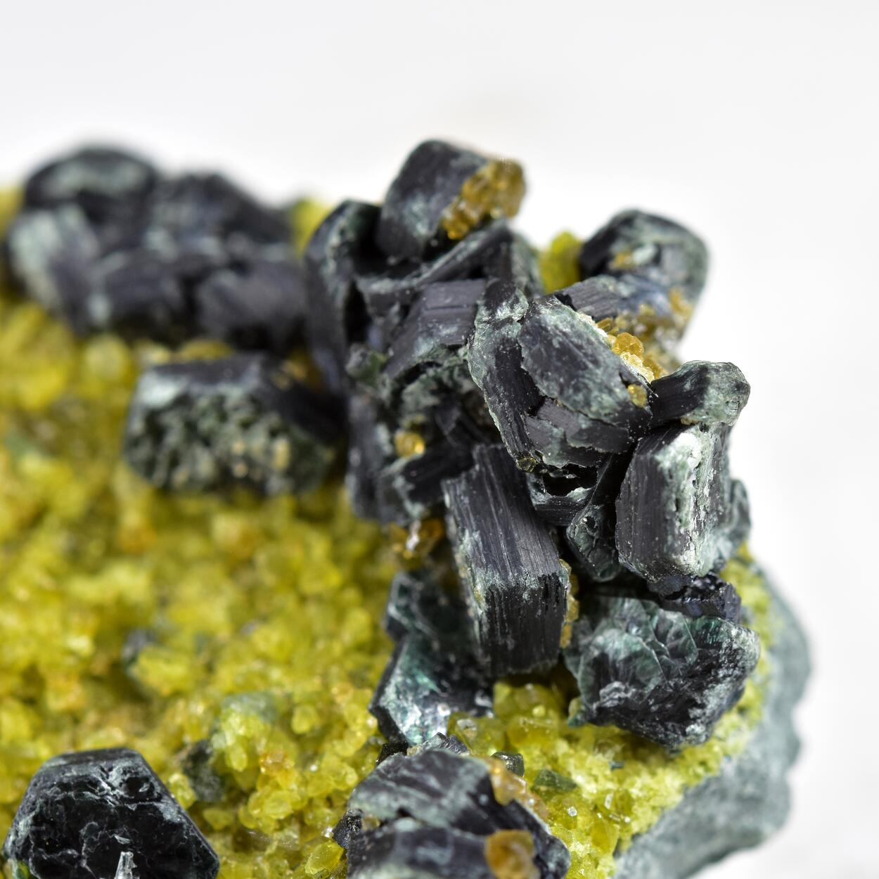 Garnet Var Andradite With Vesuvianite & Clinochlore