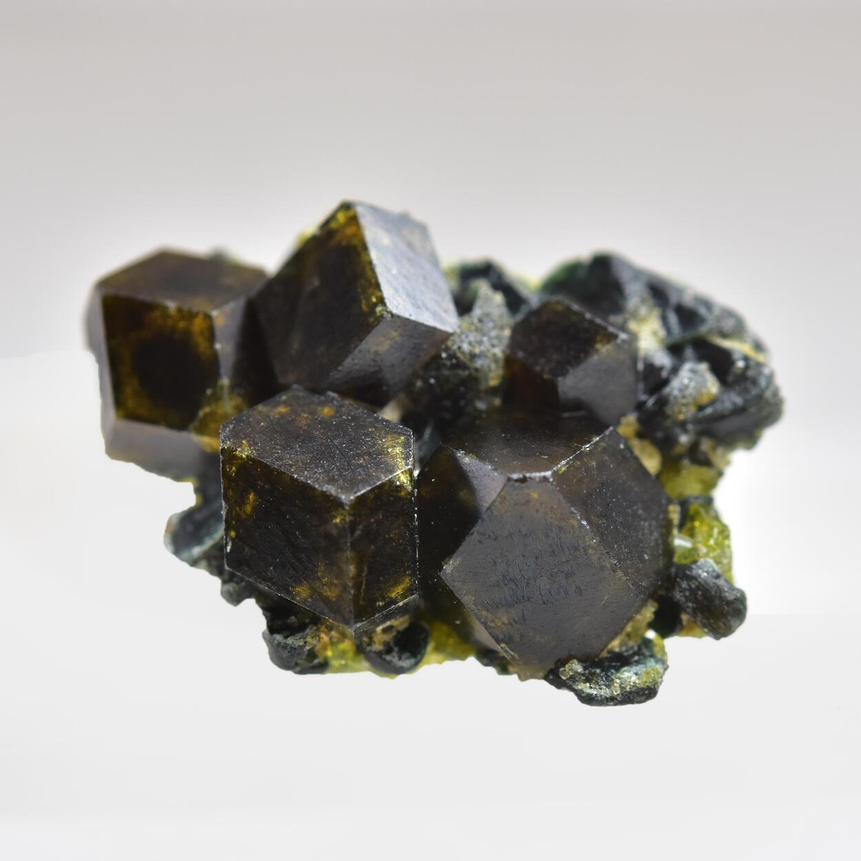 Garnet Var Andradite With Clinochlore