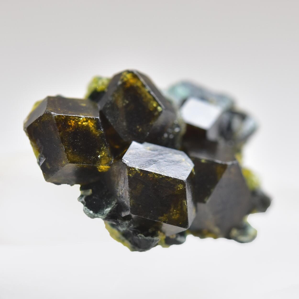 Garnet Var Andradite With Clinochlore