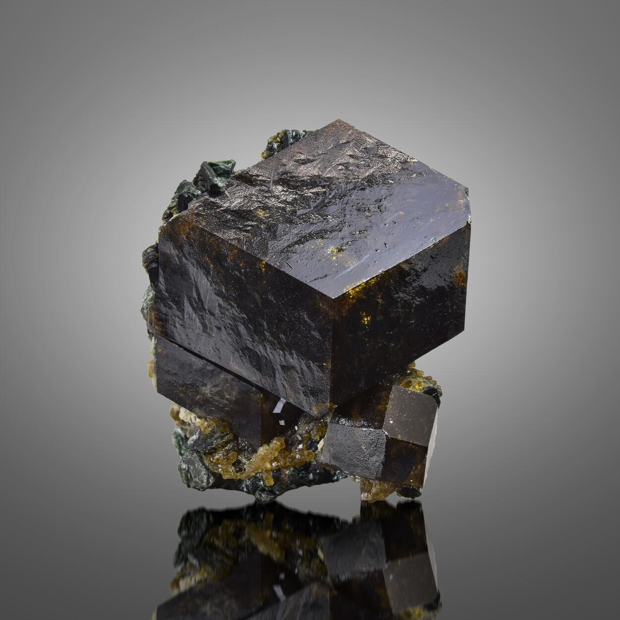 Garnet Var Andradite With Clinochlore