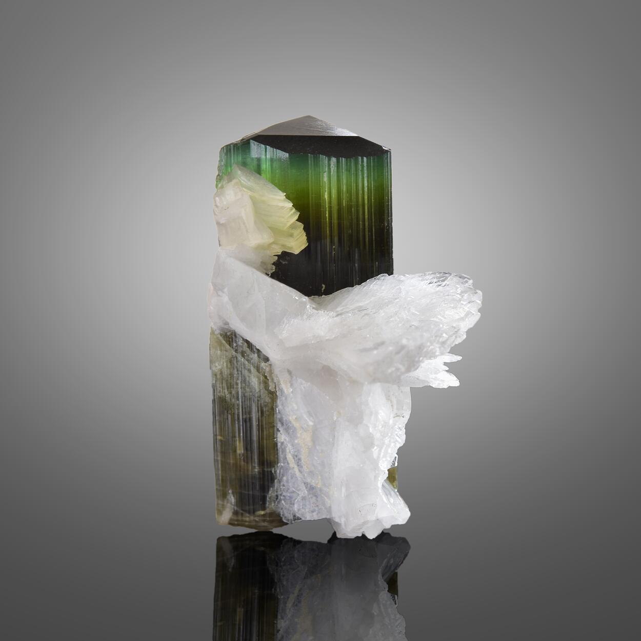 Elbaite