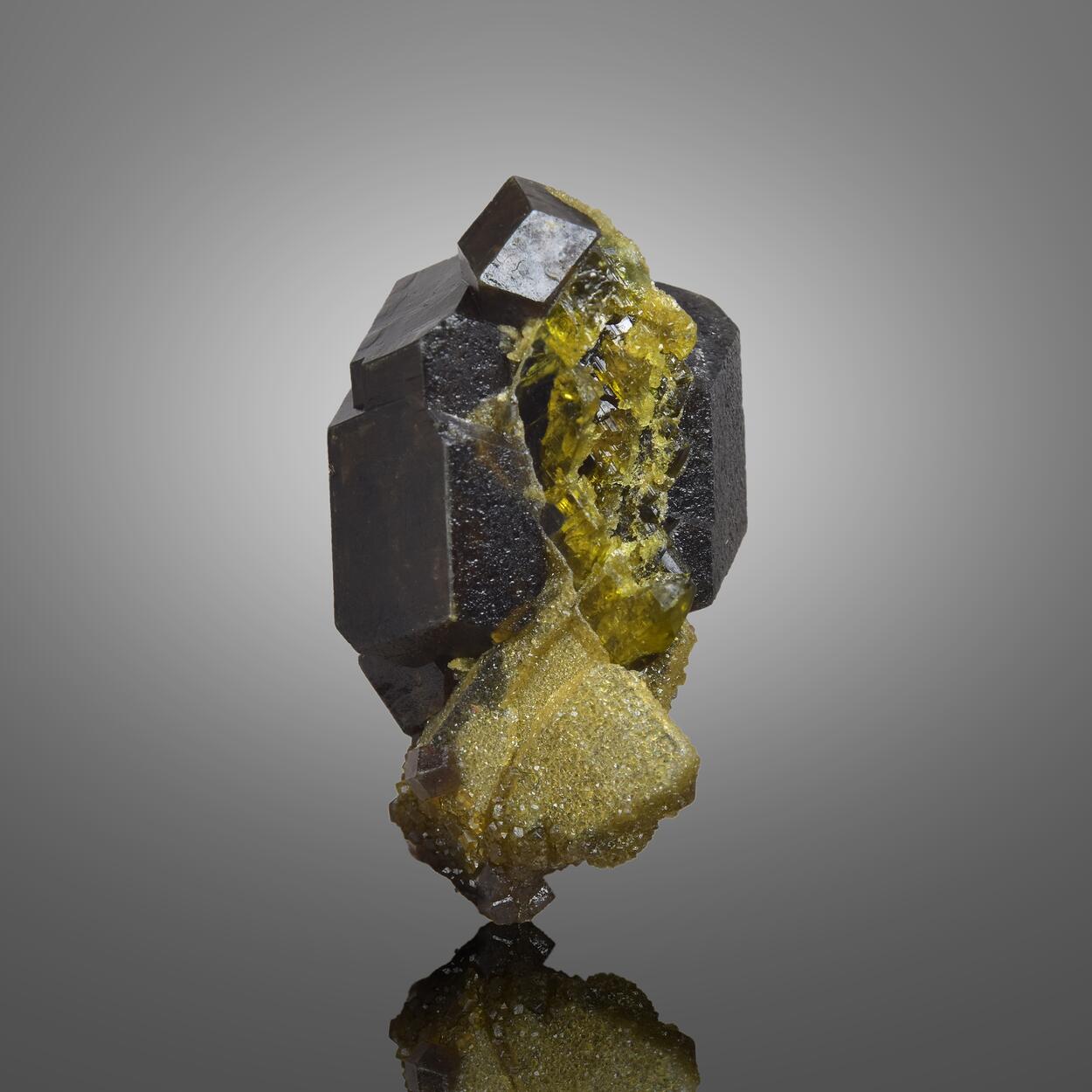 Garnet Var Andradite With Diopside & Vesuvianite