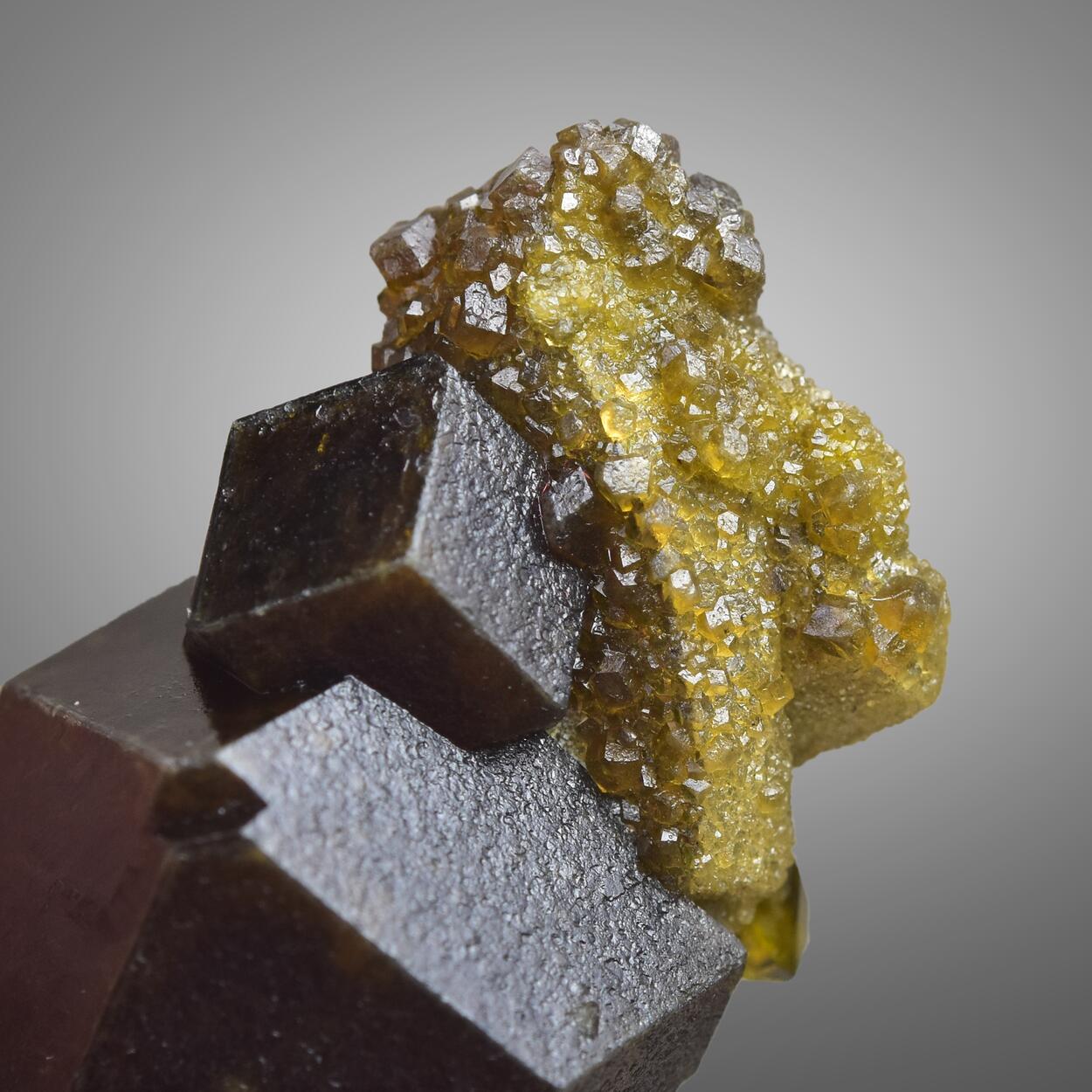 Garnet Var Andradite With Diopside & Vesuvianite