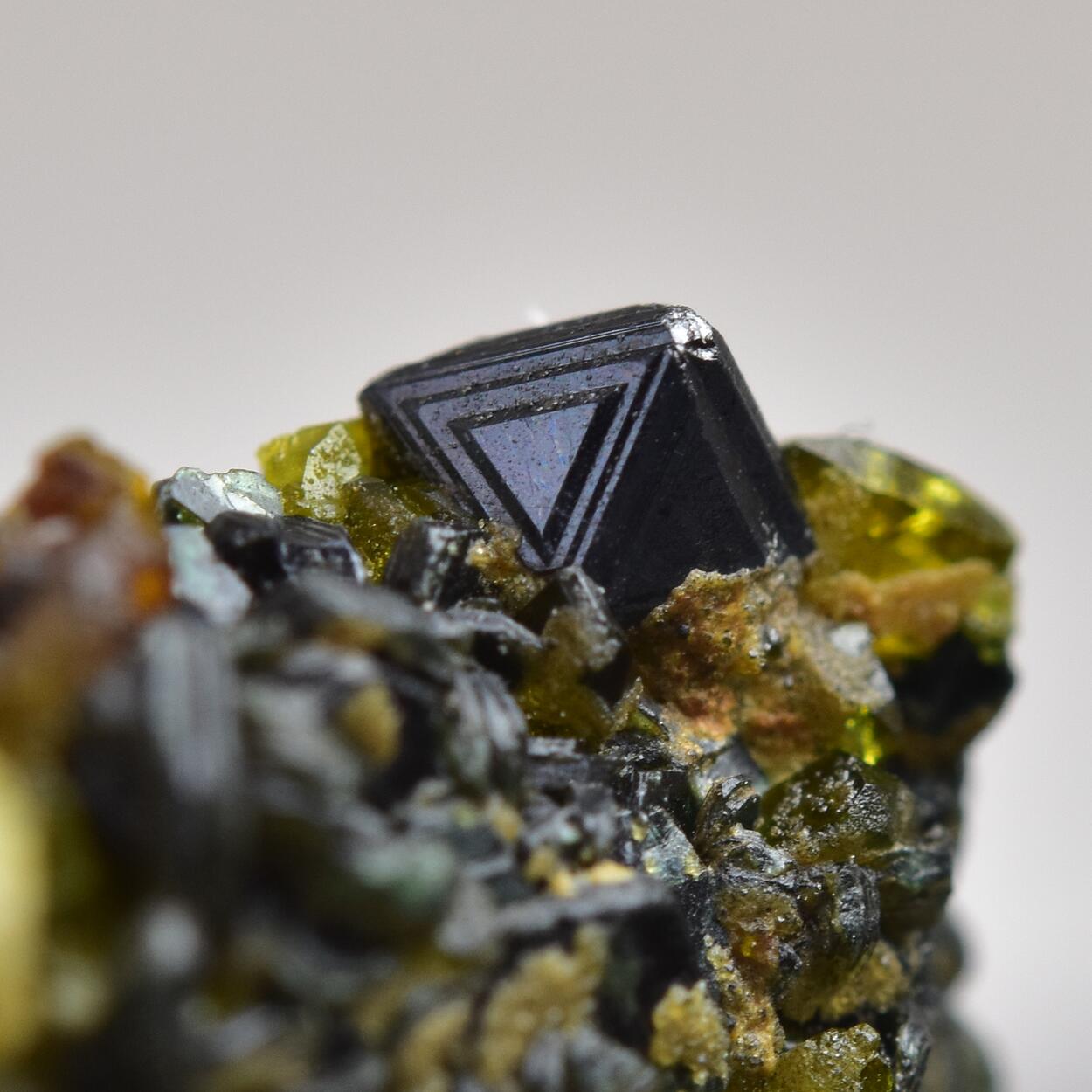 Magnetite With Clinochlore & Vesuvianite