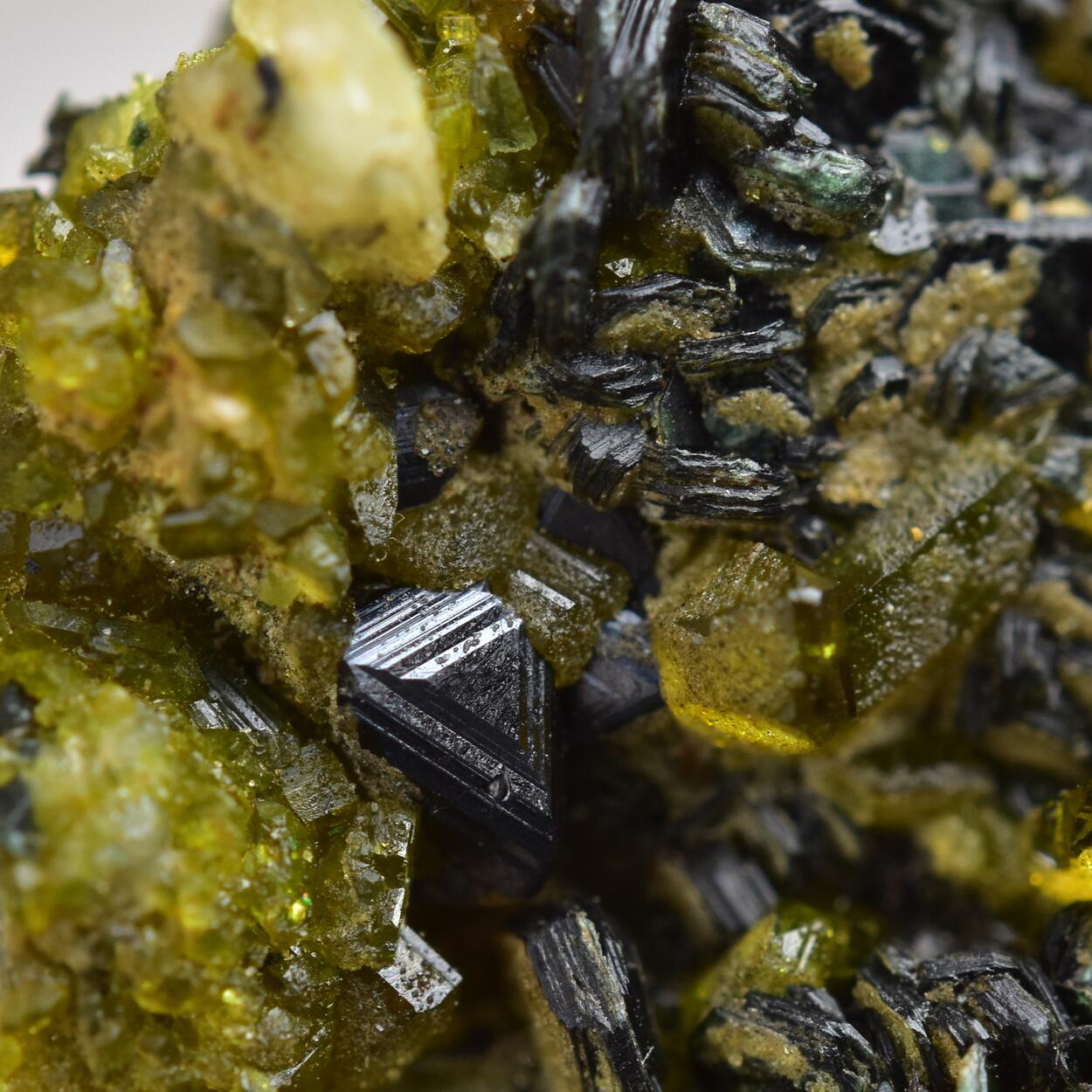 Magnetite With Clinochlore & Vesuvianite