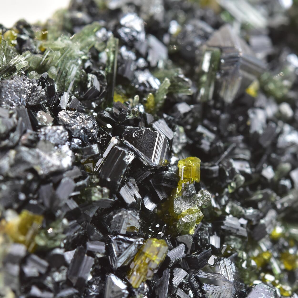 Magnetite With Clinochlore Diopside & Vesuvianite