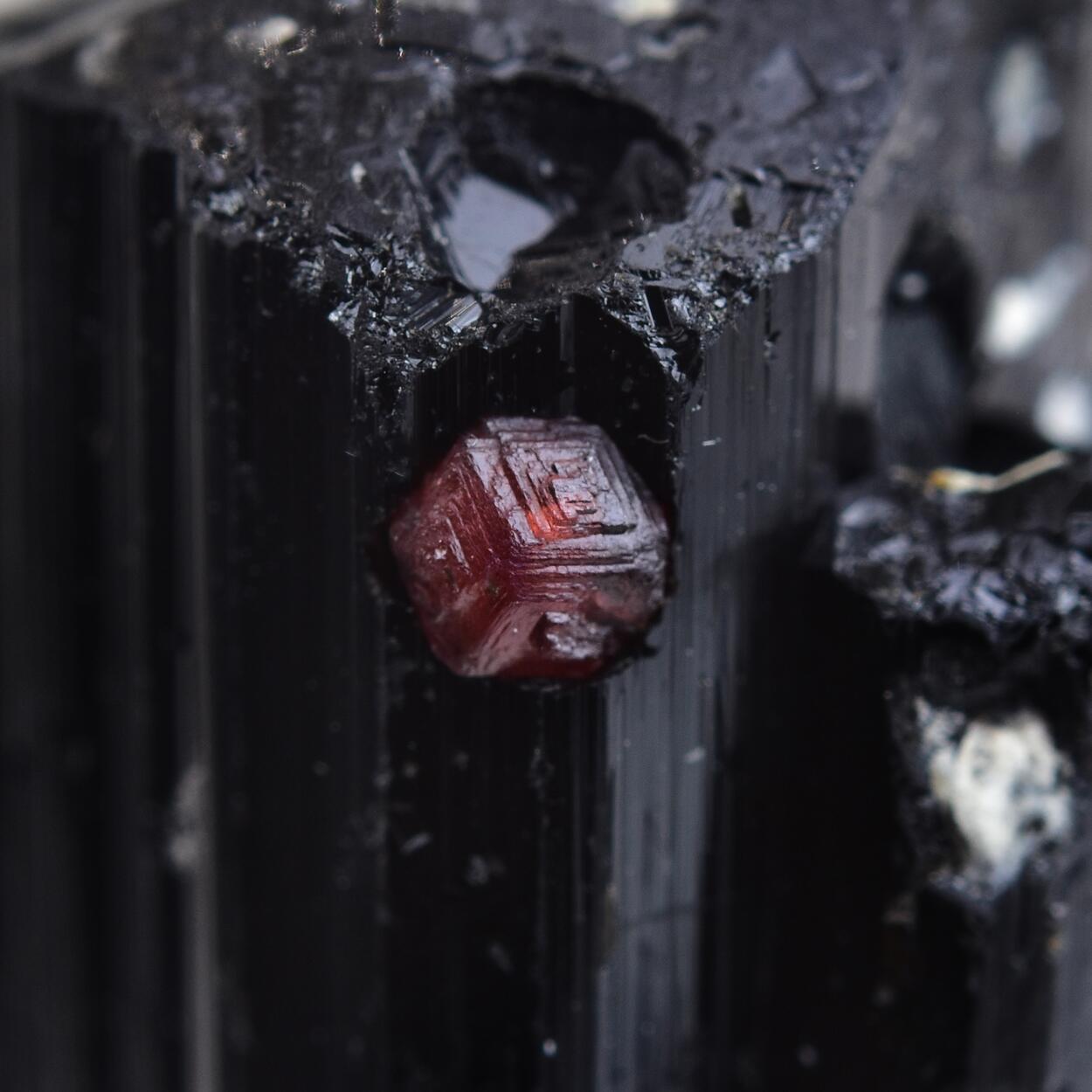 Garnet Var Spessartine With Schorl