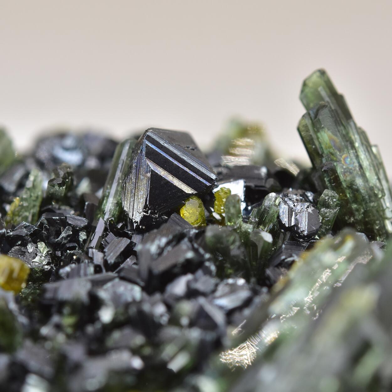 Magnetite With Clinochlore Diopside & Vesuvianite