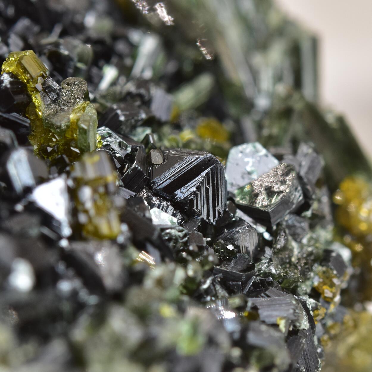 Magnetite With Clinochlore Diopside & Vesuvianite