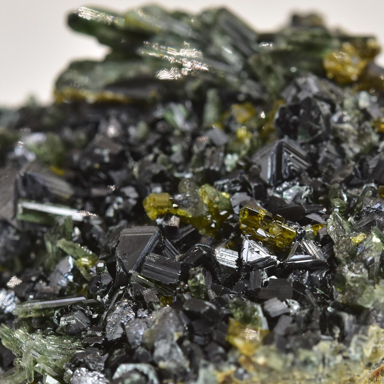 Magnetite With Clinochlore Diopside & Vesuvianite
