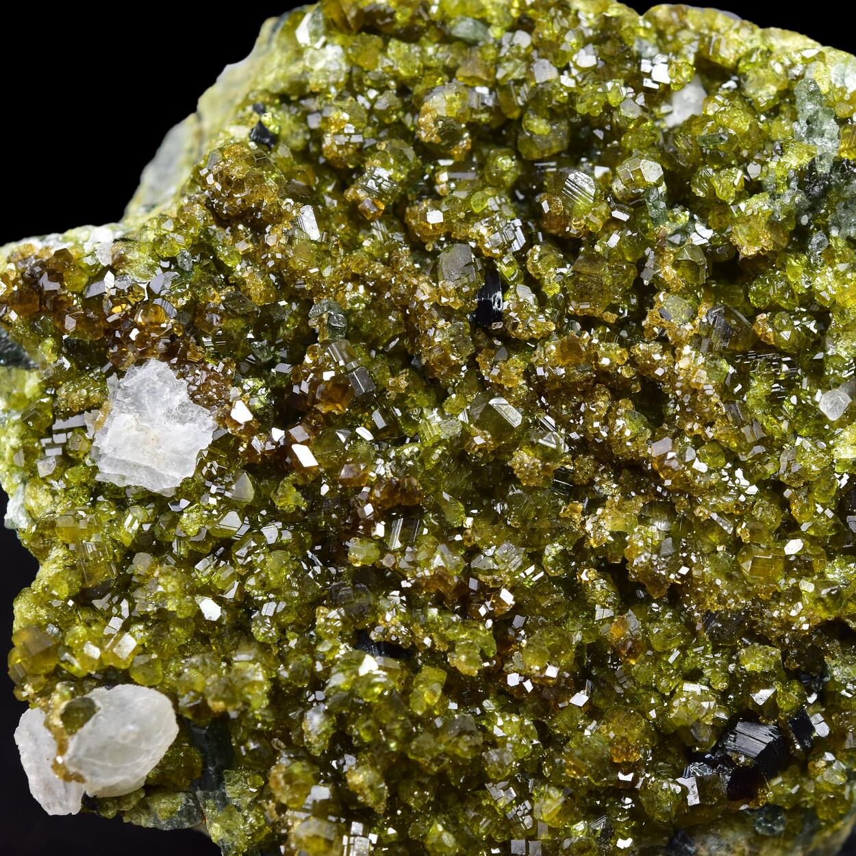 Vesuvianite With Grossular & Diopside