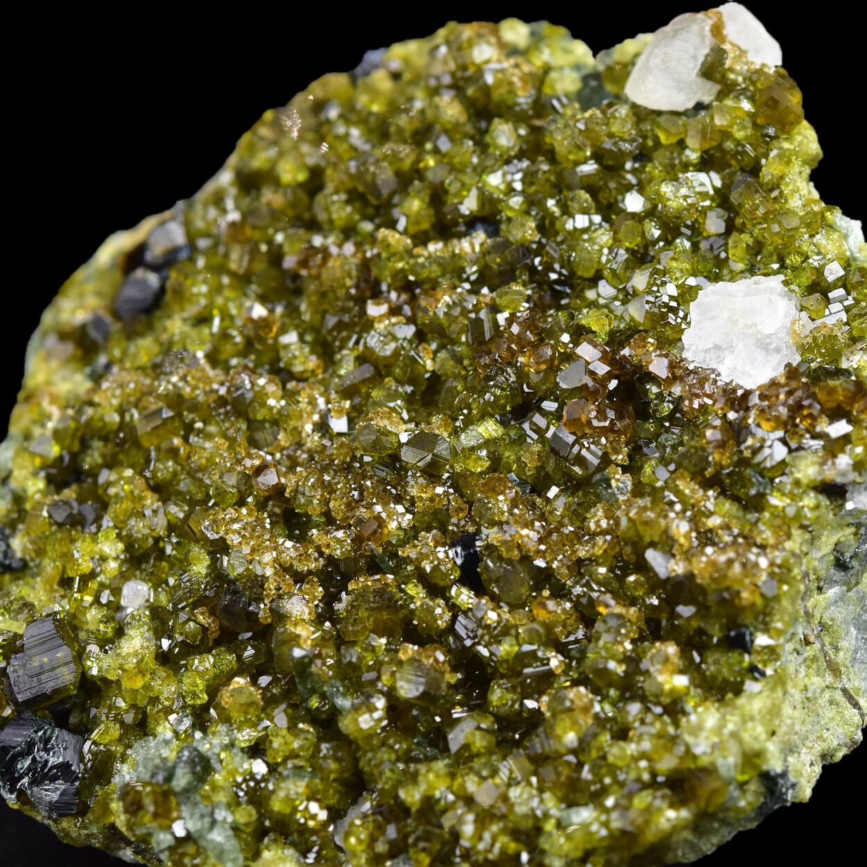 Vesuvianite With Grossular & Diopside