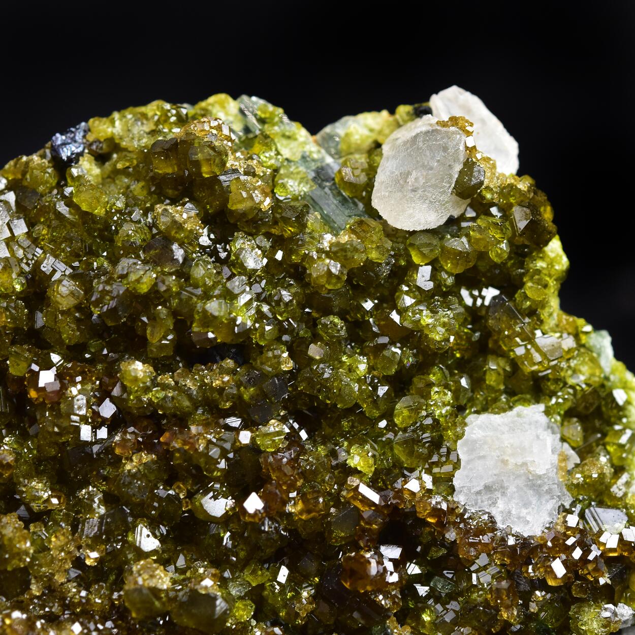 Vesuvianite With Grossular & Diopside