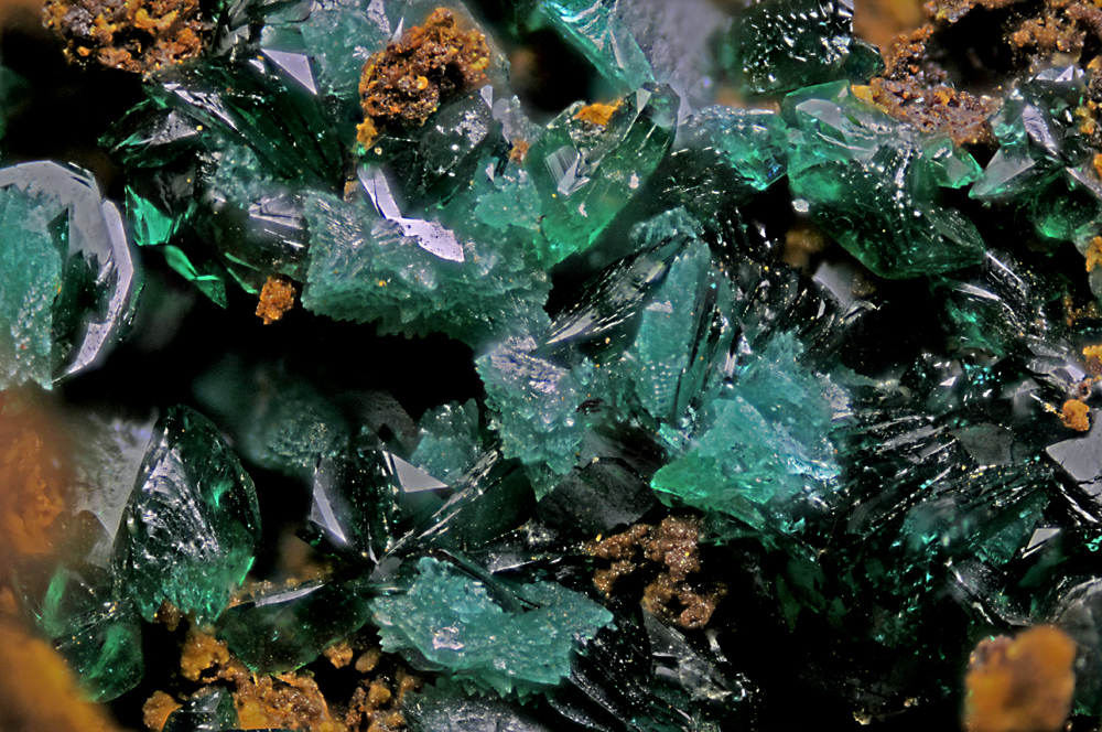 Reichenbachite & Pseudomalachite