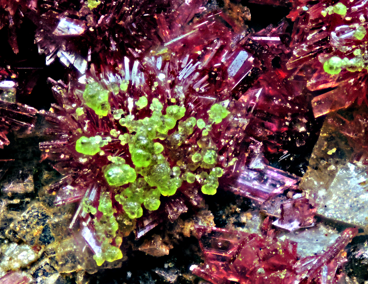 Erythrite & Conichalcite