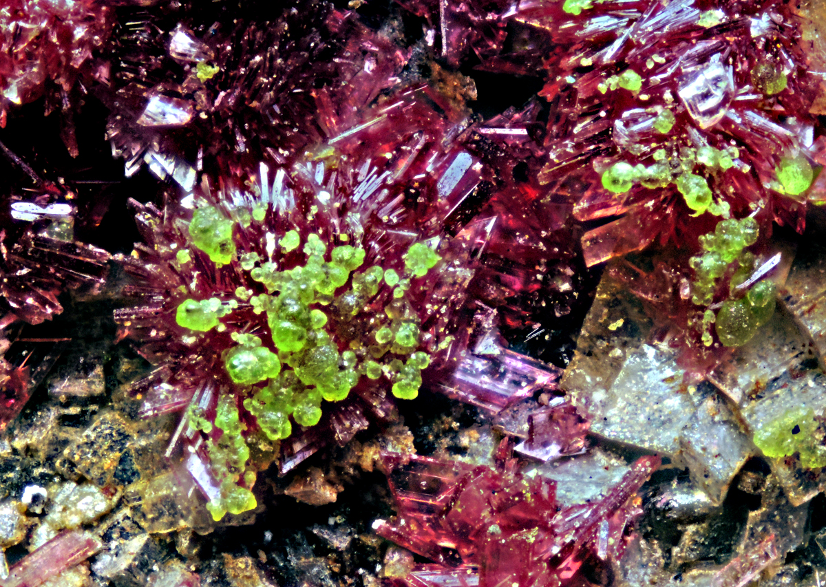 Erythrite & Conichalcite