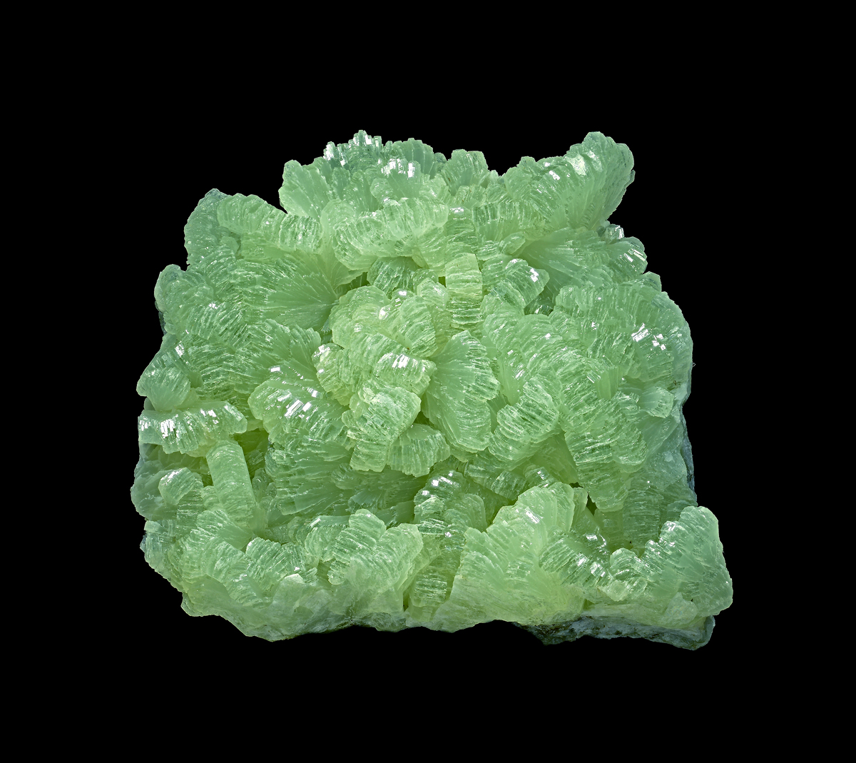 Prehnite